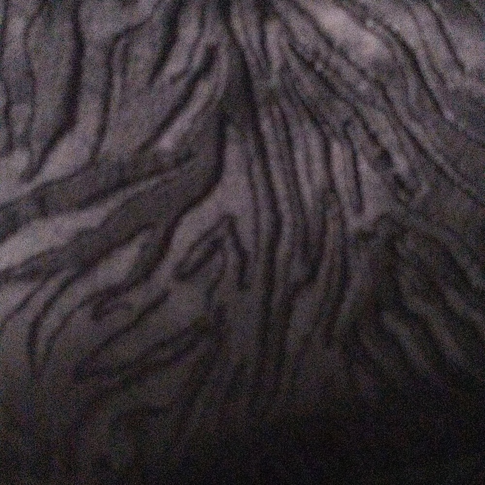 Cache Luxe Textured Black Pants/ Jeans Size 6 - image 3